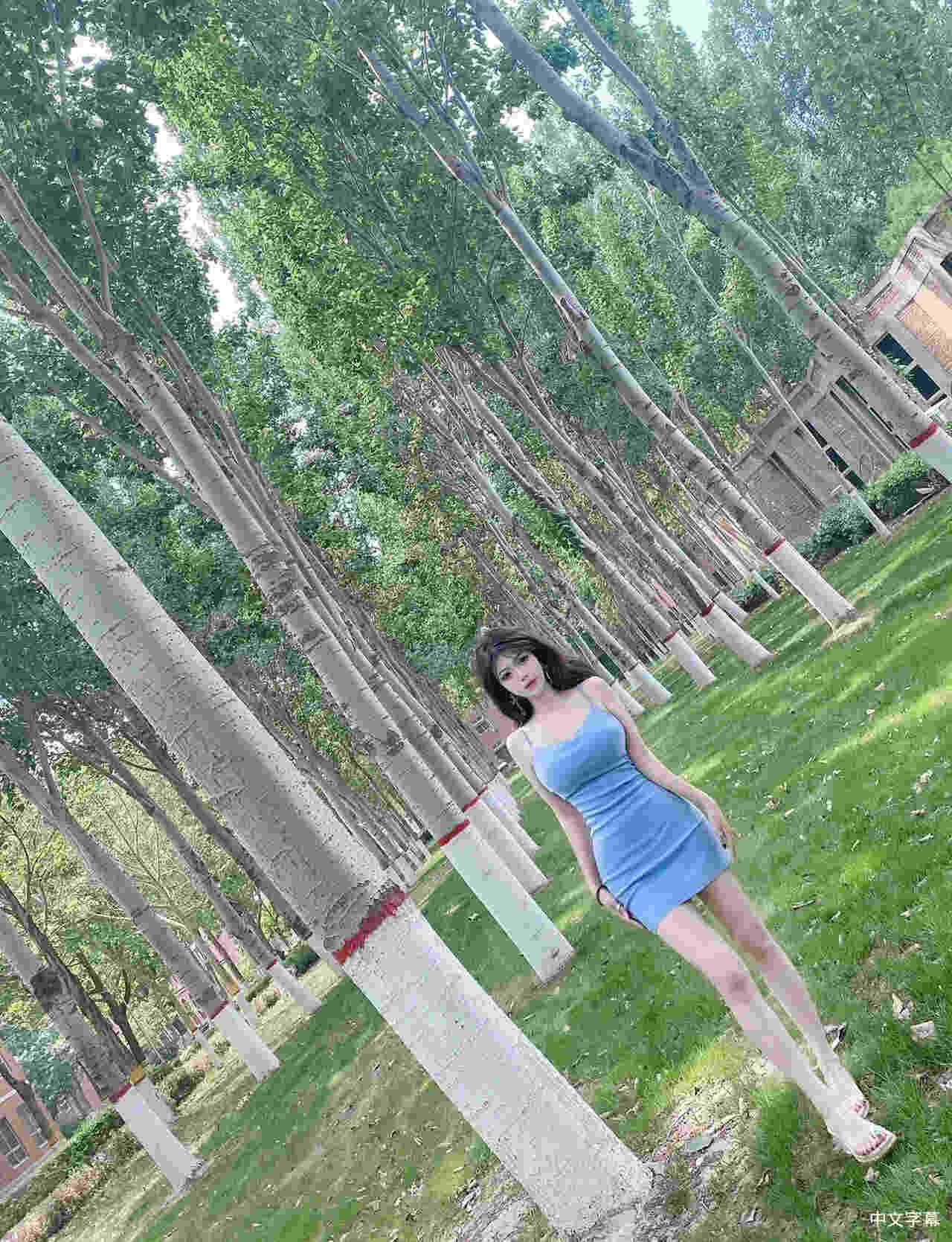 李颖 Ying Li(I)的作𴾍