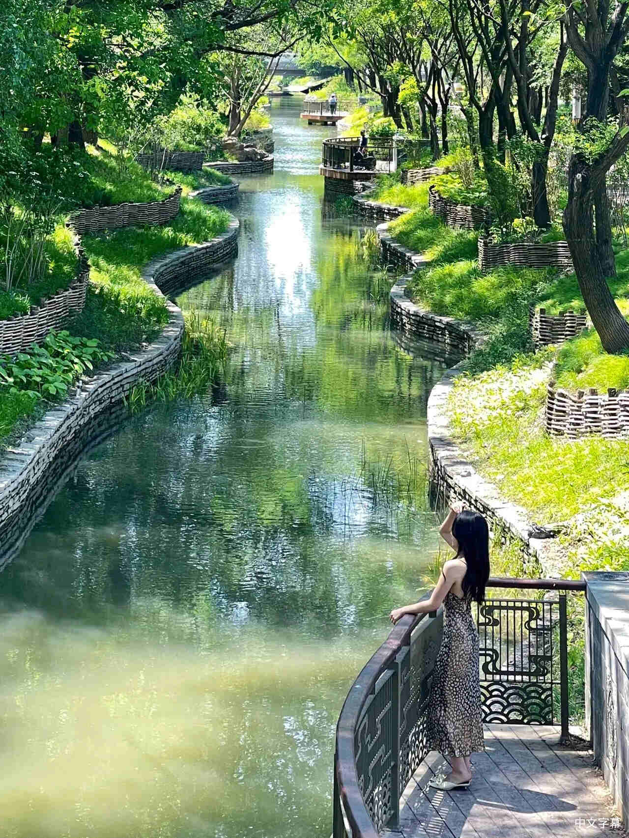 堺左千夫的作𴾐