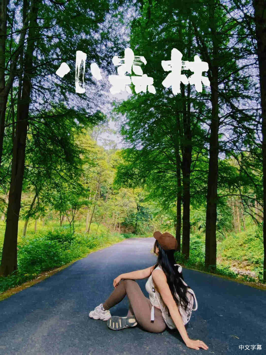 程雍的作𴾎