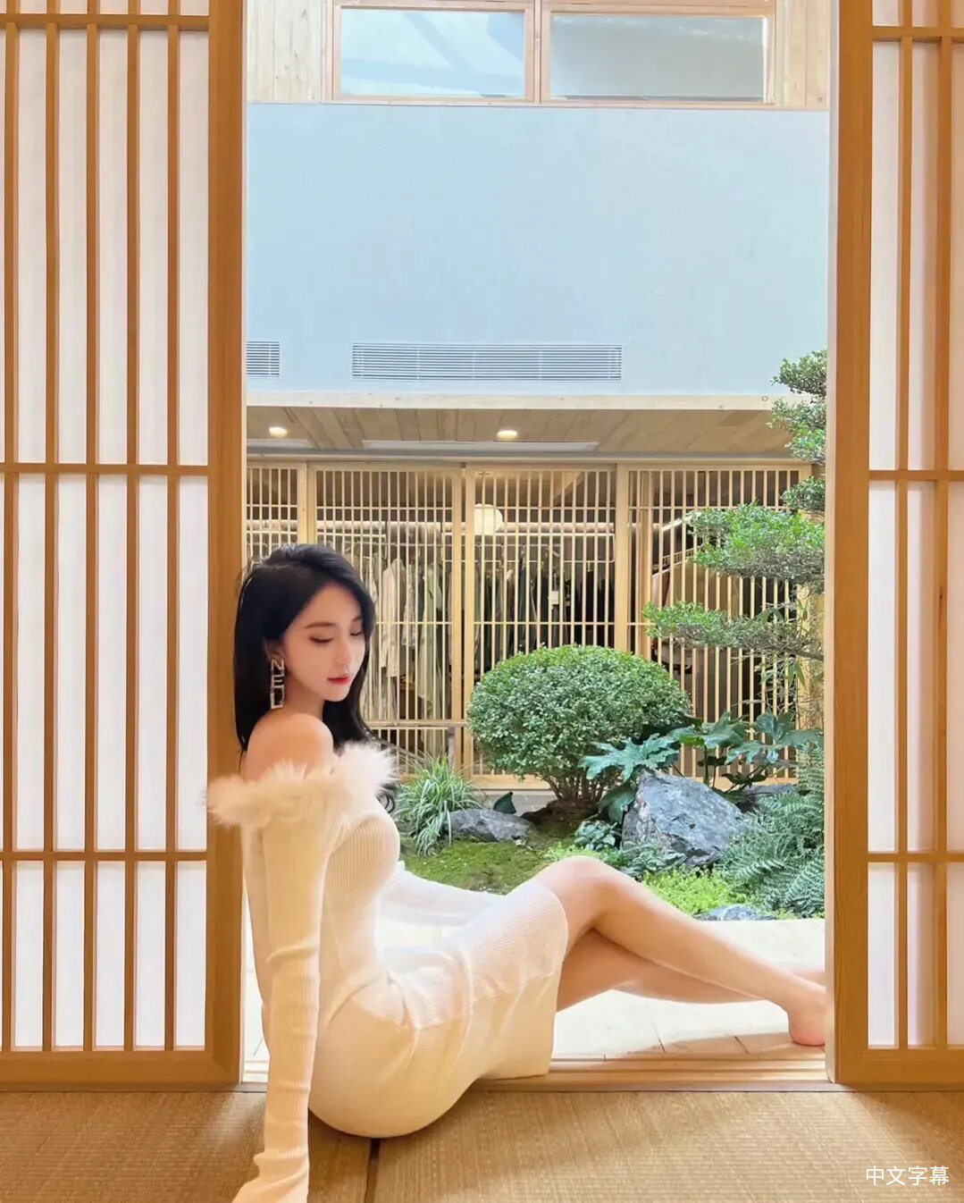 桑野美雪的作𴾌