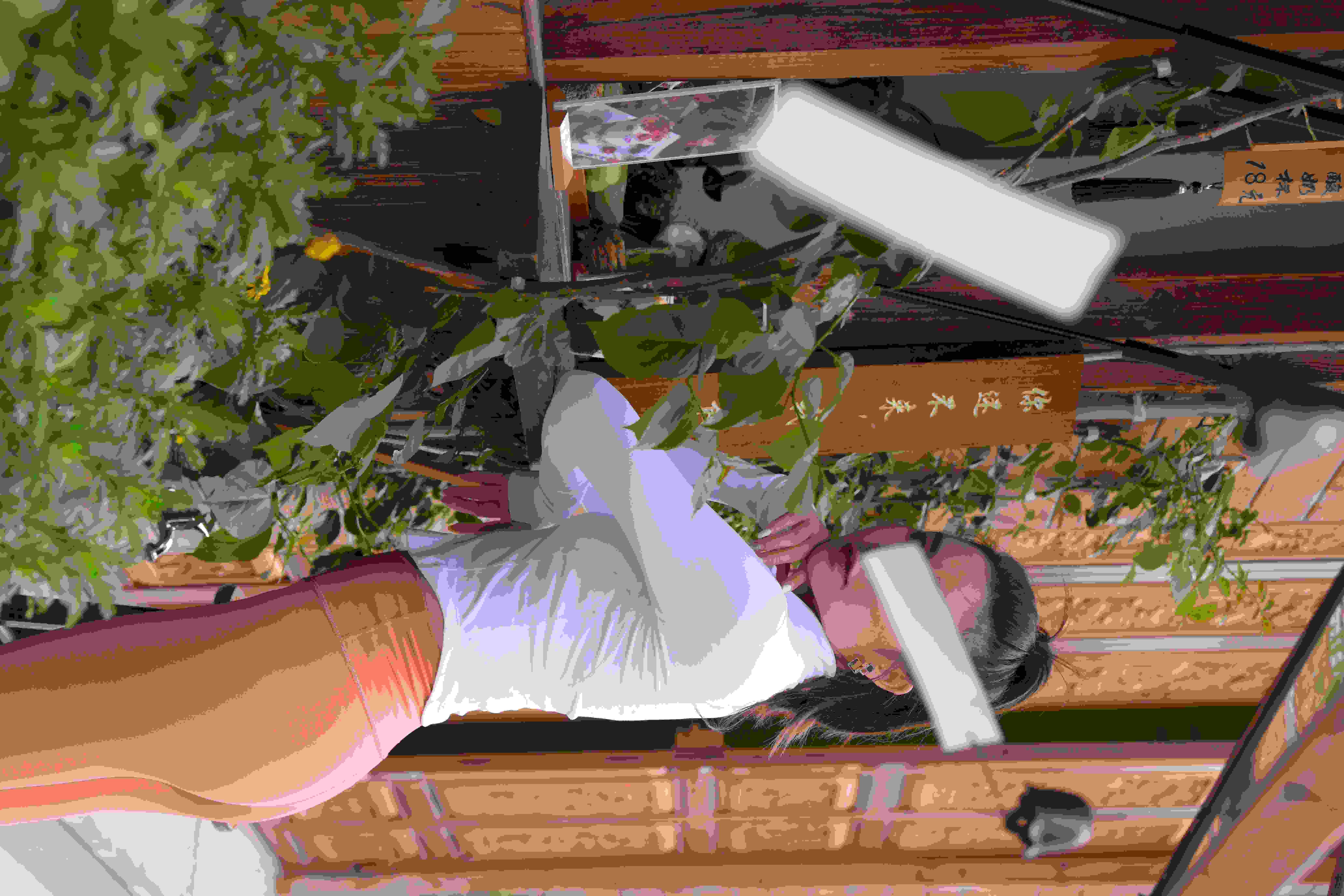 罗伯特·德尼罗的作𴾌