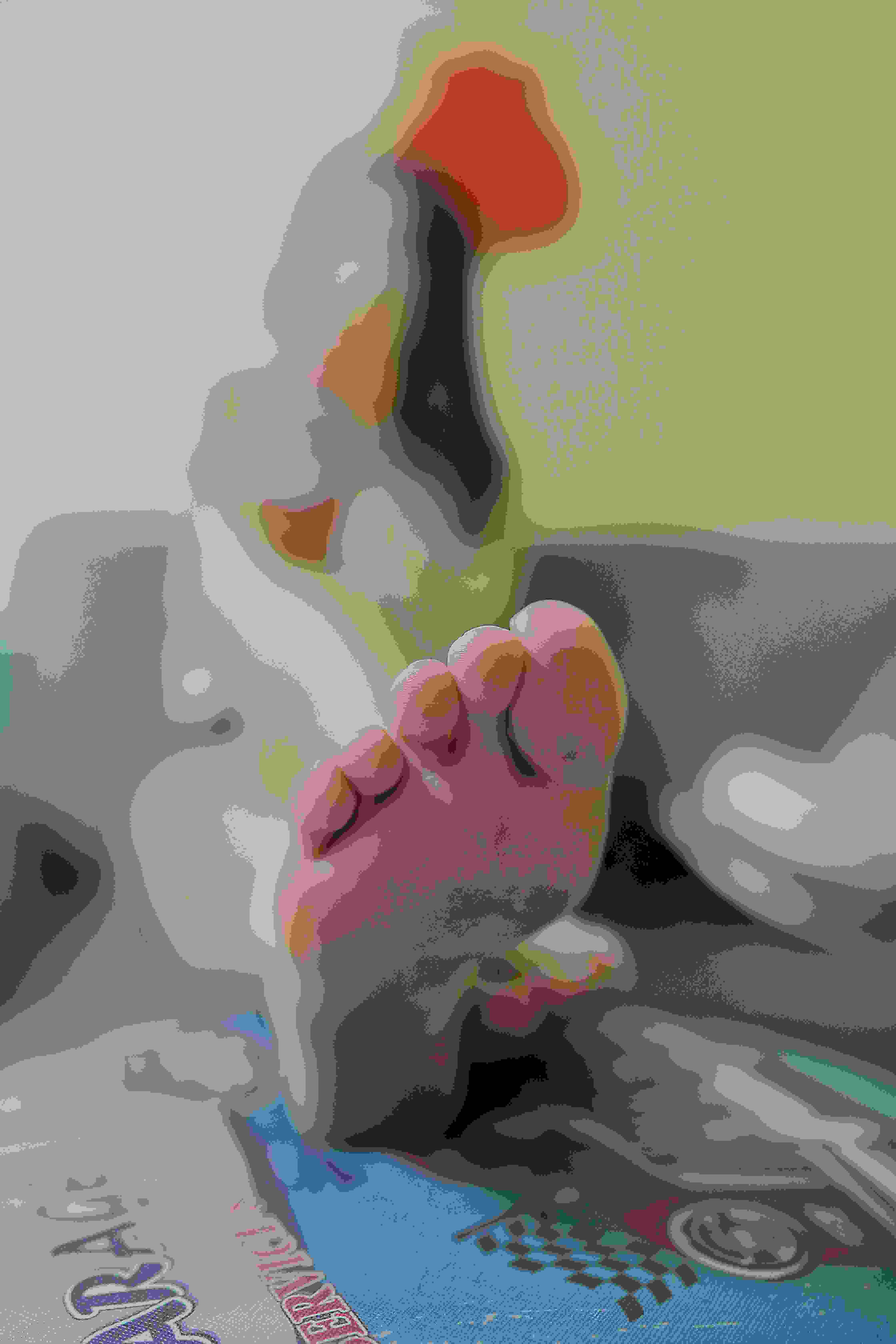 艾伦·杰伊·罗姆的作𴾌