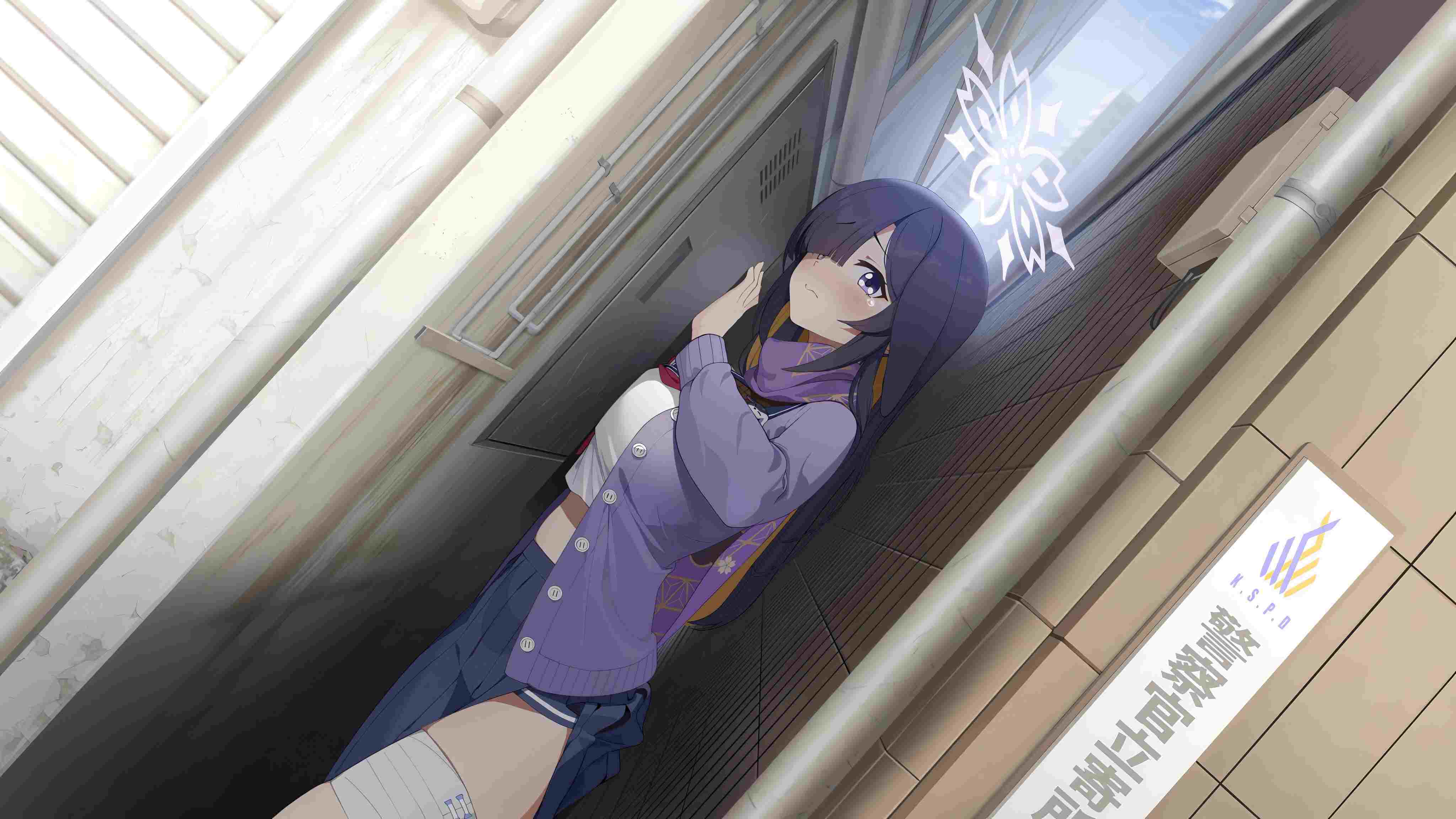 徐帆的作𴾌