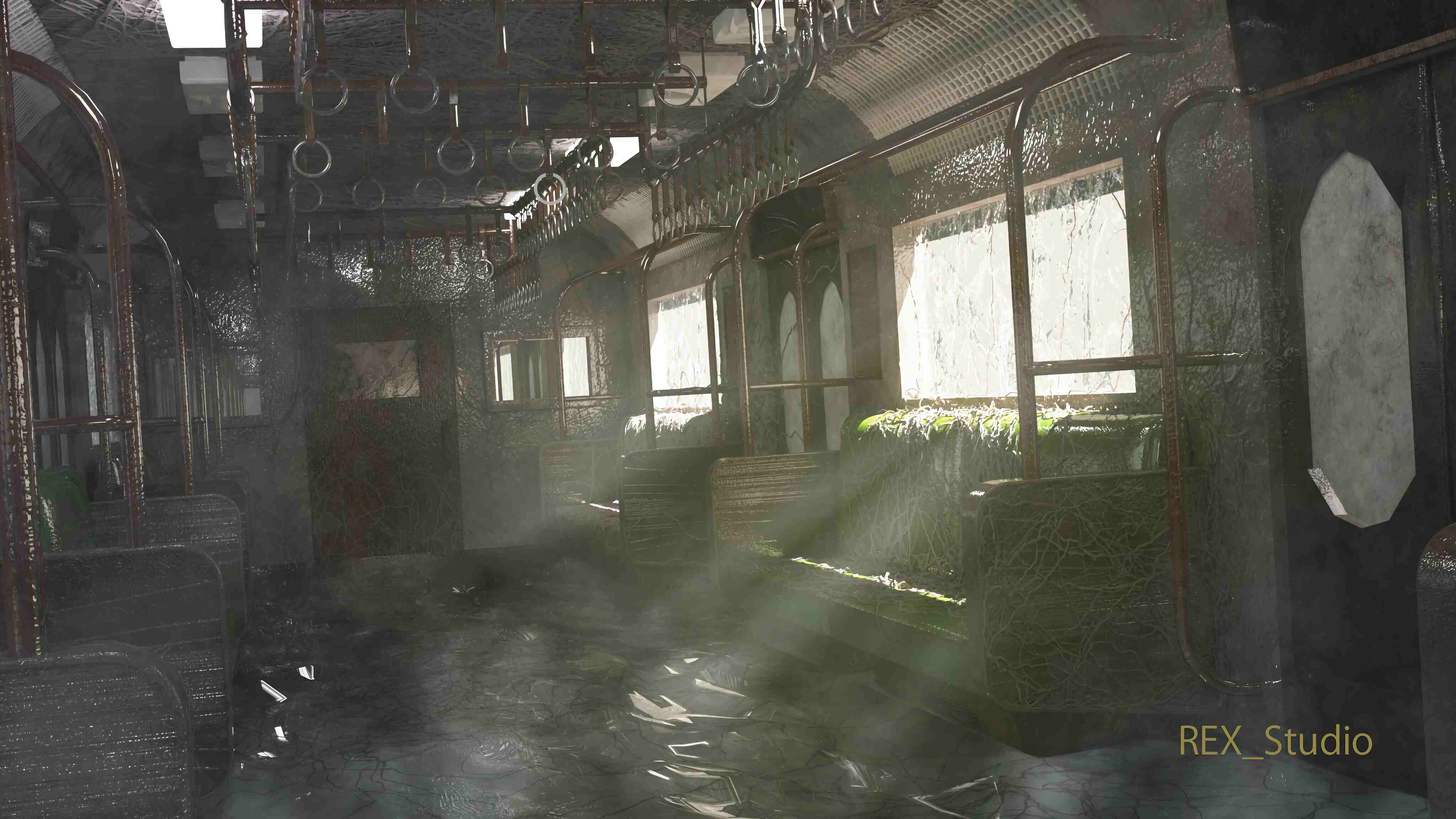 孙华萍的作𴾎