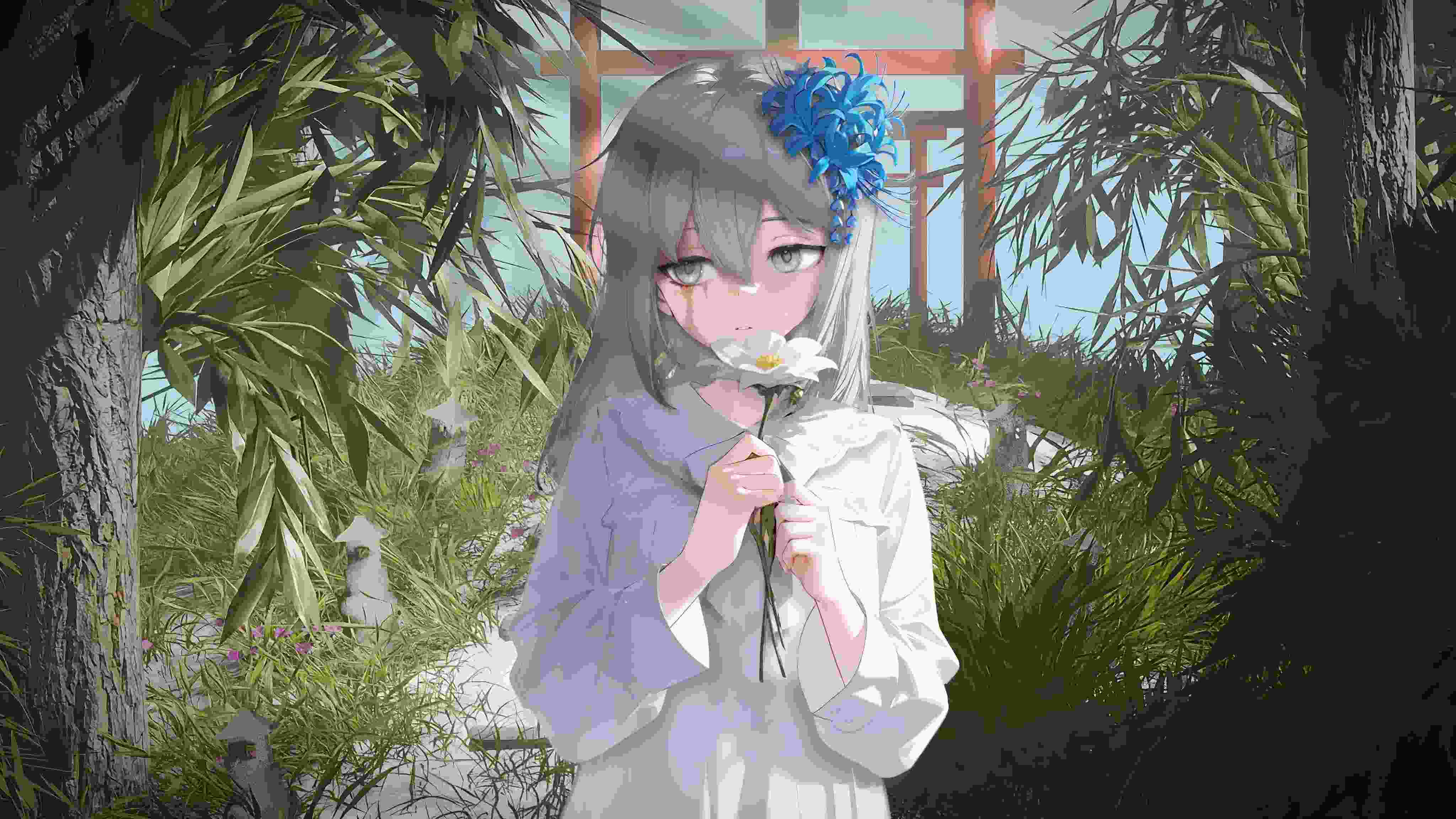 桂纶镁的作𴾐