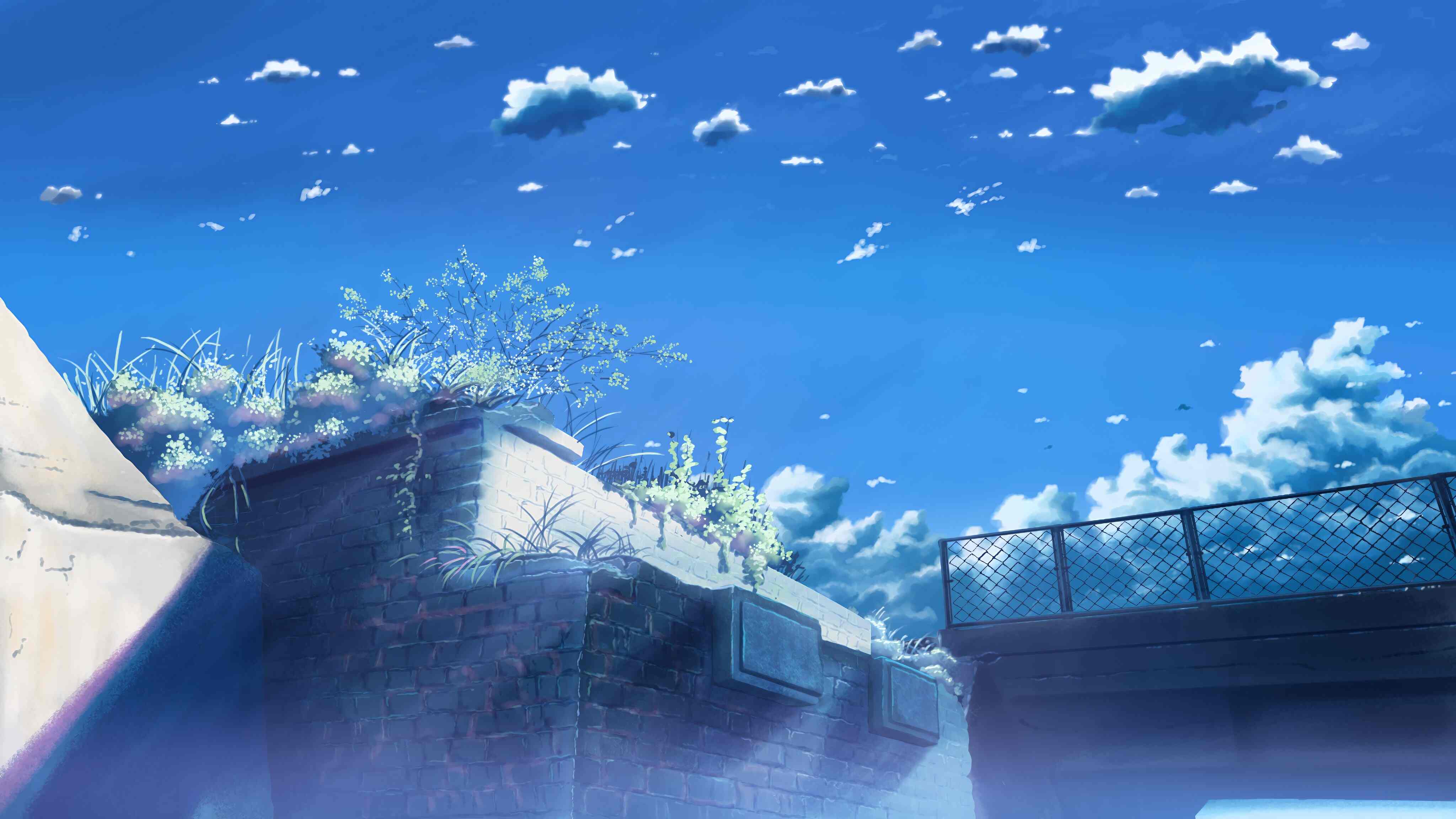 托马斯·麦卡锡的作𴾌