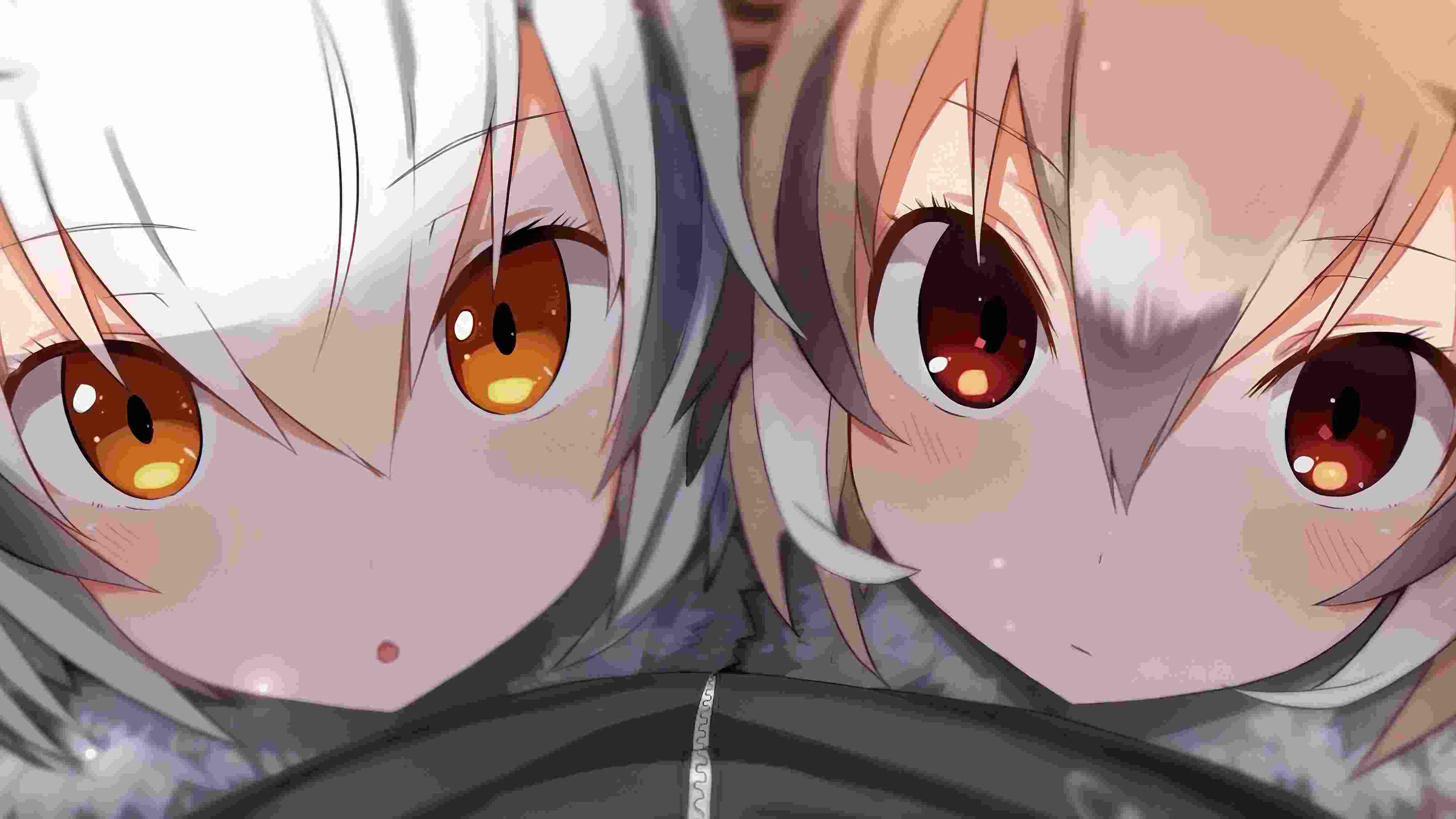 麦特·佛莱尔的作𴾐
