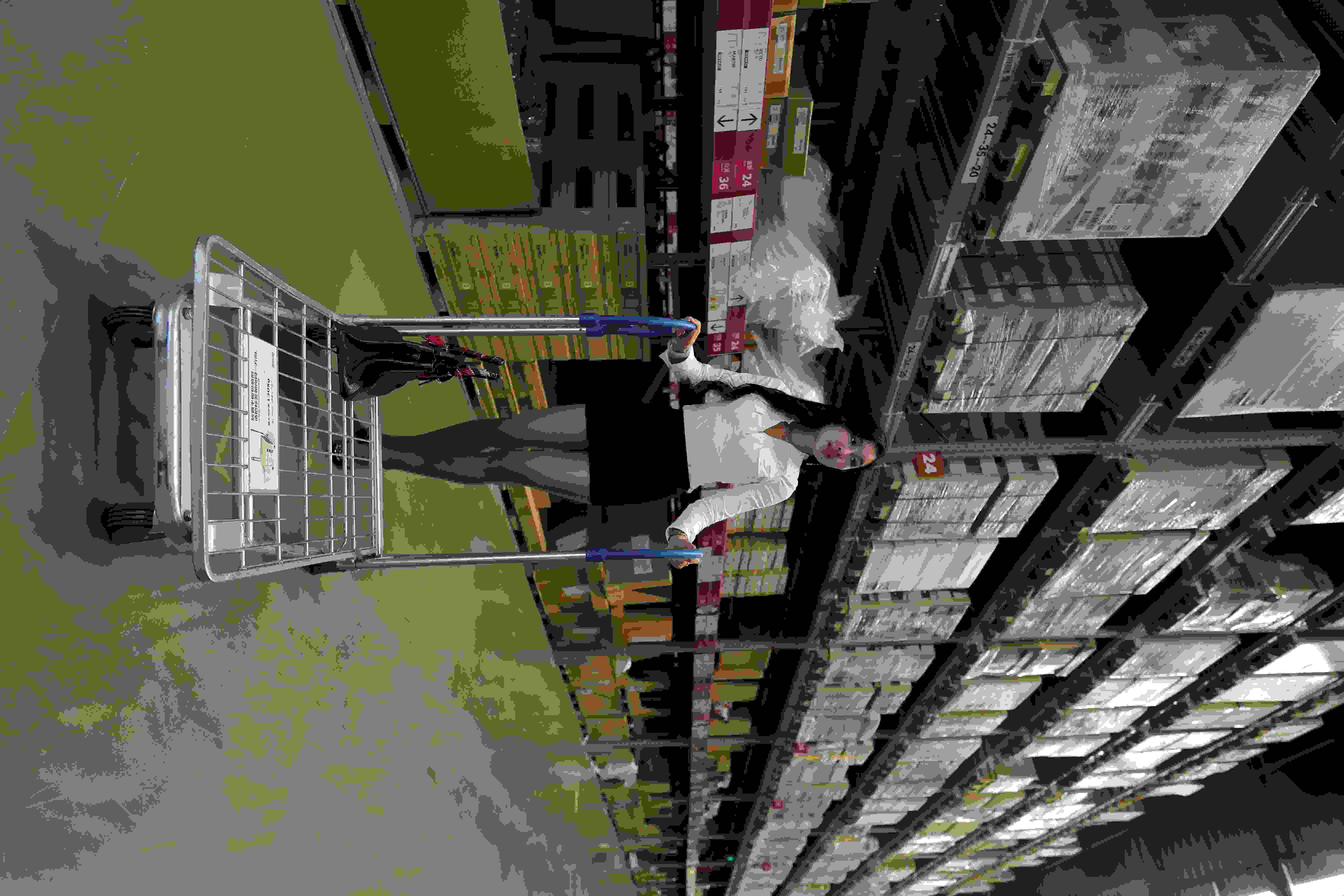 卡迈因·吉欧凡纳佐的作𴾍