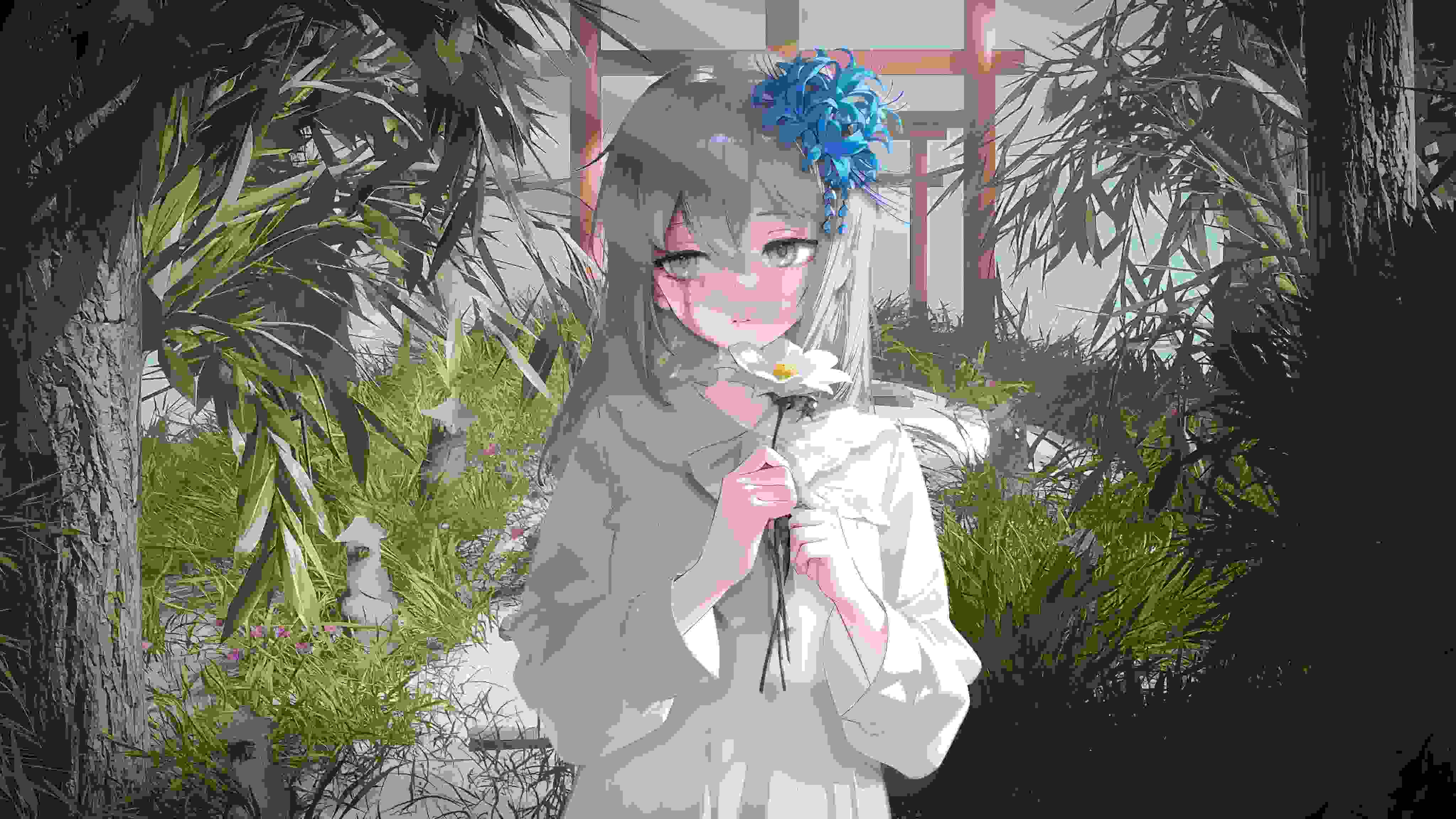 杨竣羽的作𴾐