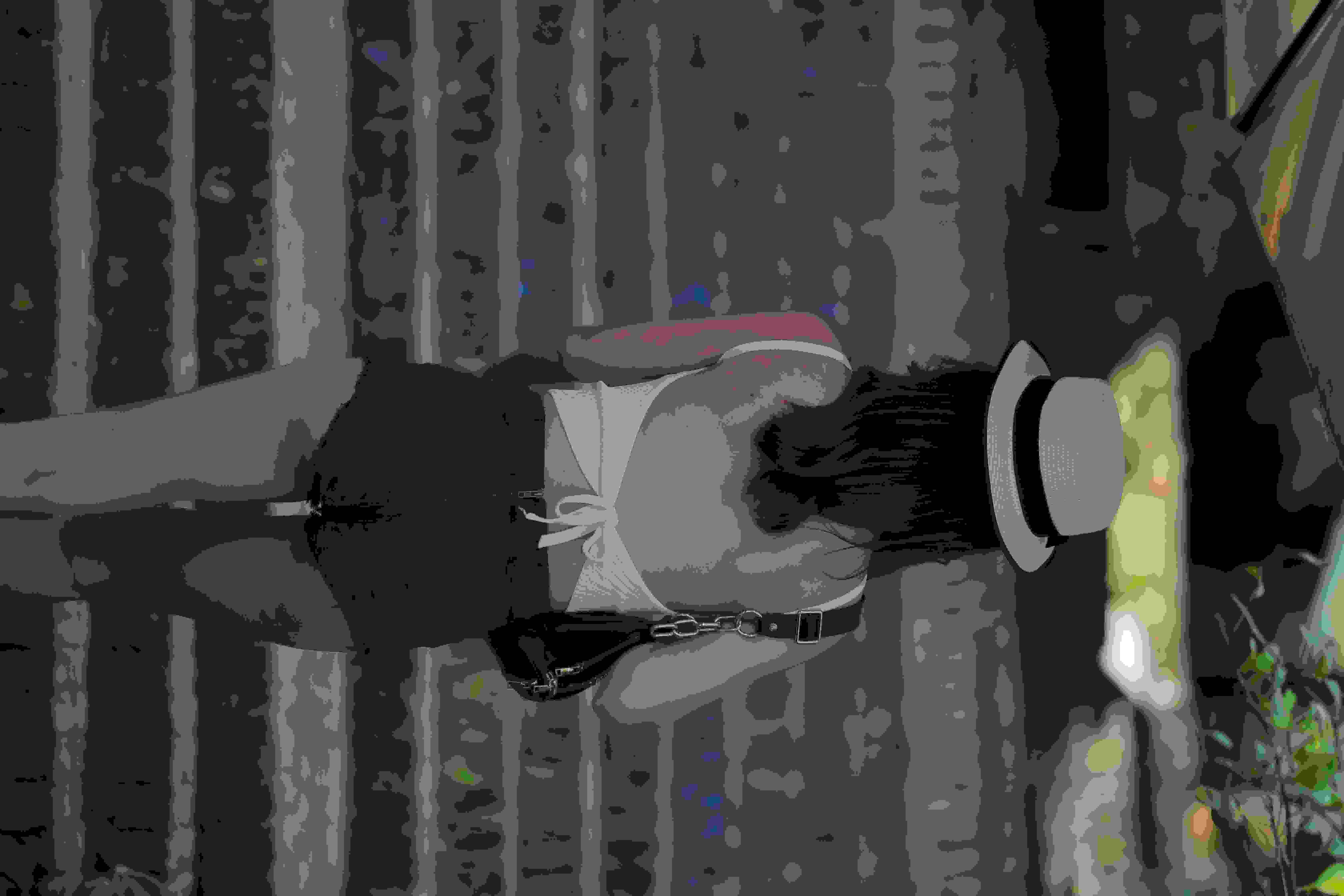 冯自立的作𴾋