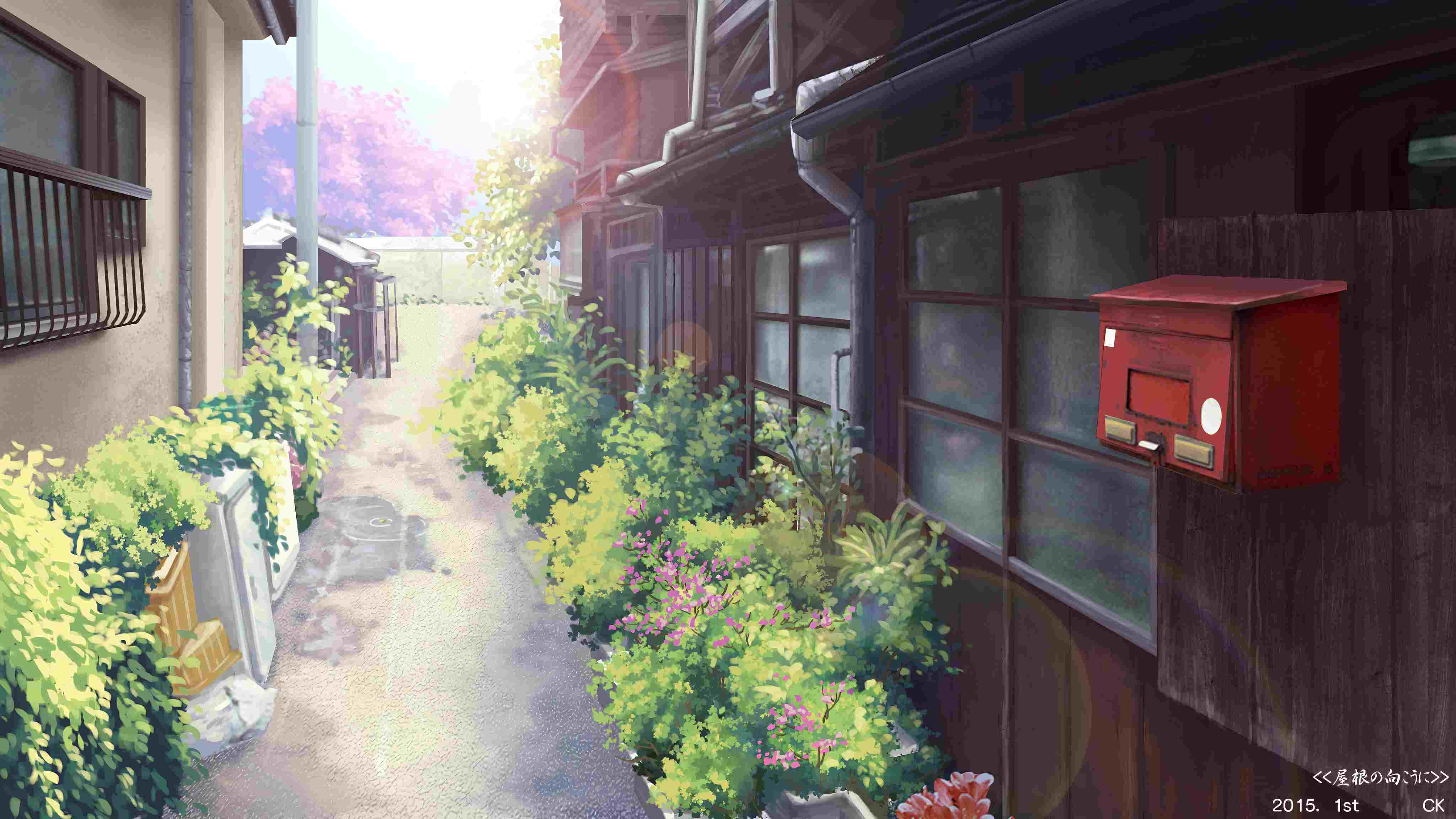 艾德里安·帕默的作𴾎