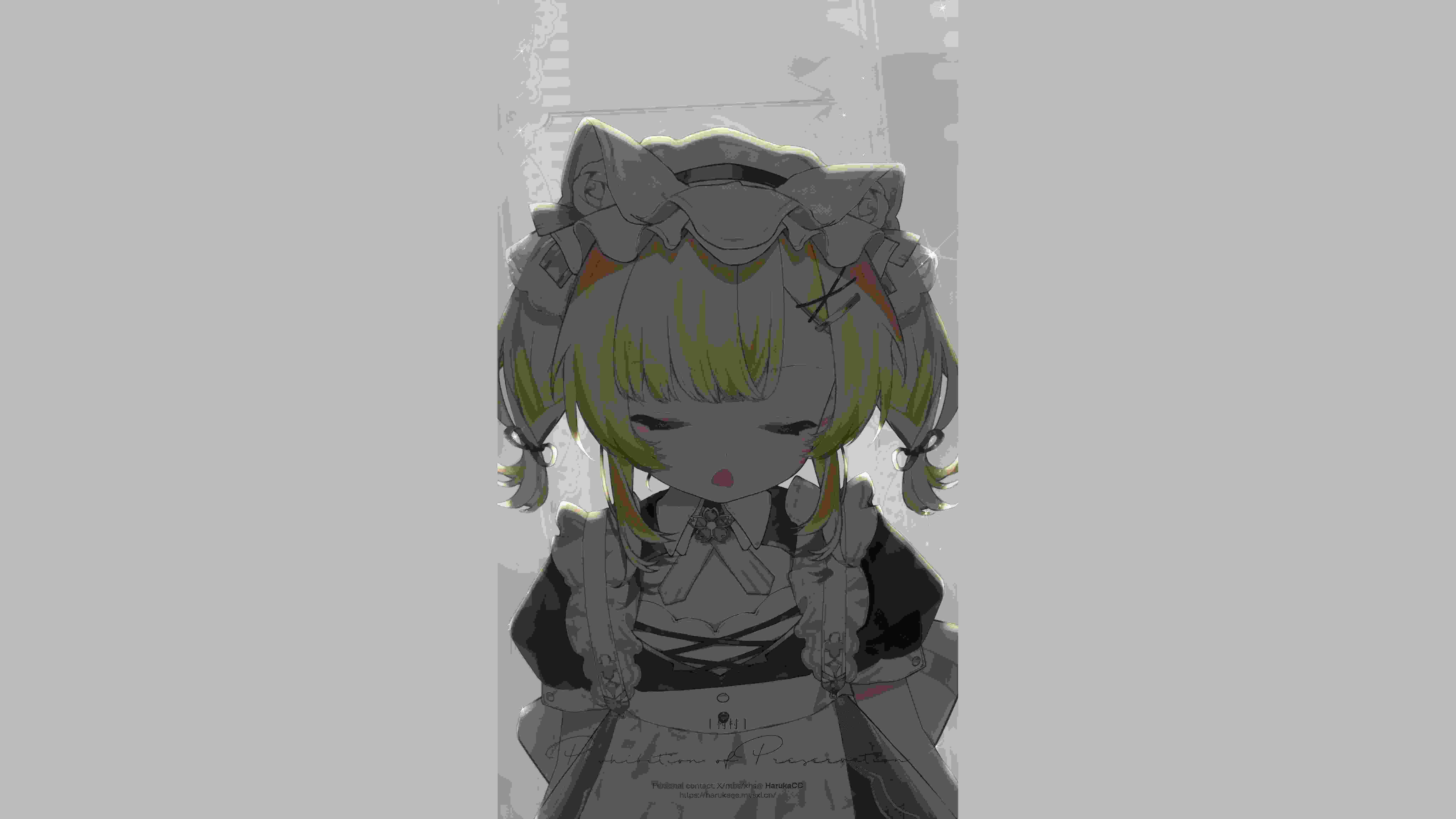 马达丽娜·珍娜的作𴾌