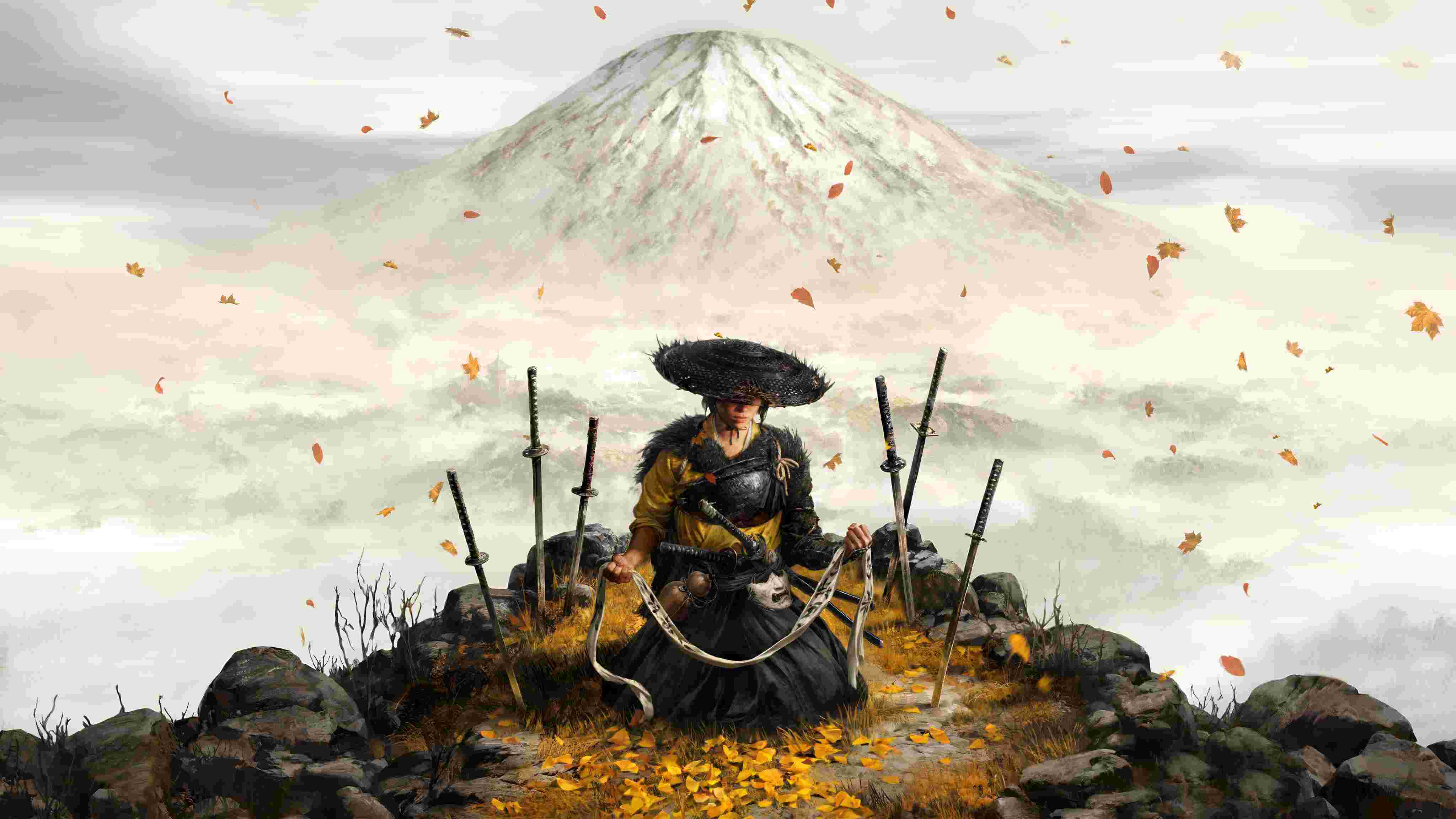 向语洁的作𴾍