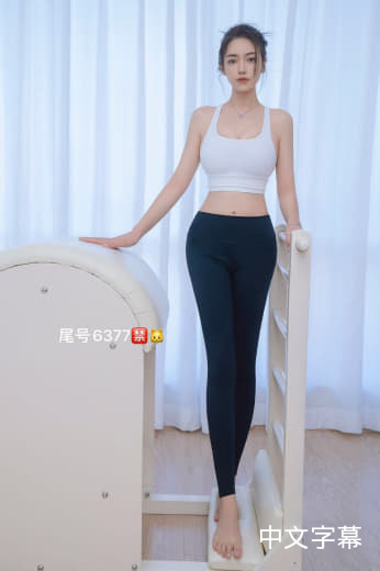 斯蒂芬·阿梅尔的作𴾏