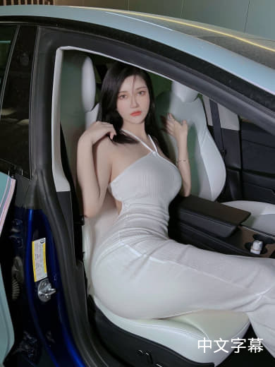 尼克·阿拉波格鲁的作𴾏